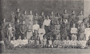 spigolatrici